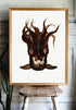 vintage black squid raw wood frame